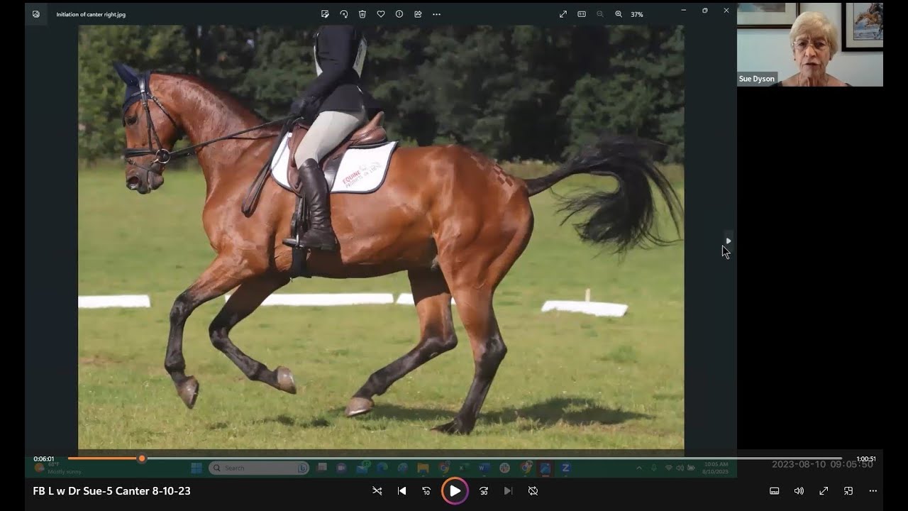 Live with Dr. Sue Dyson – Canter Dysfunction
