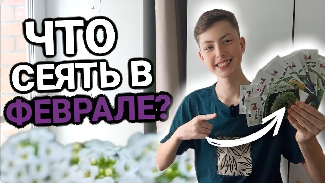 ЧТО СЕЯТЬ В ФЕВРАЛЕ 2026? Овощи, цветы и другое! 