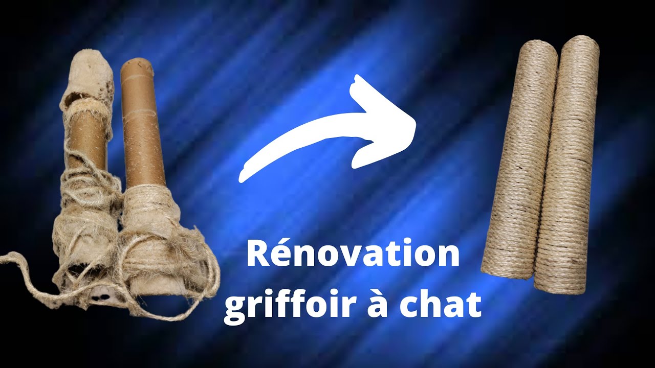 DIY Rénovation d'un arbre chat. Réparation des griffoirs, pas cher, en 30min