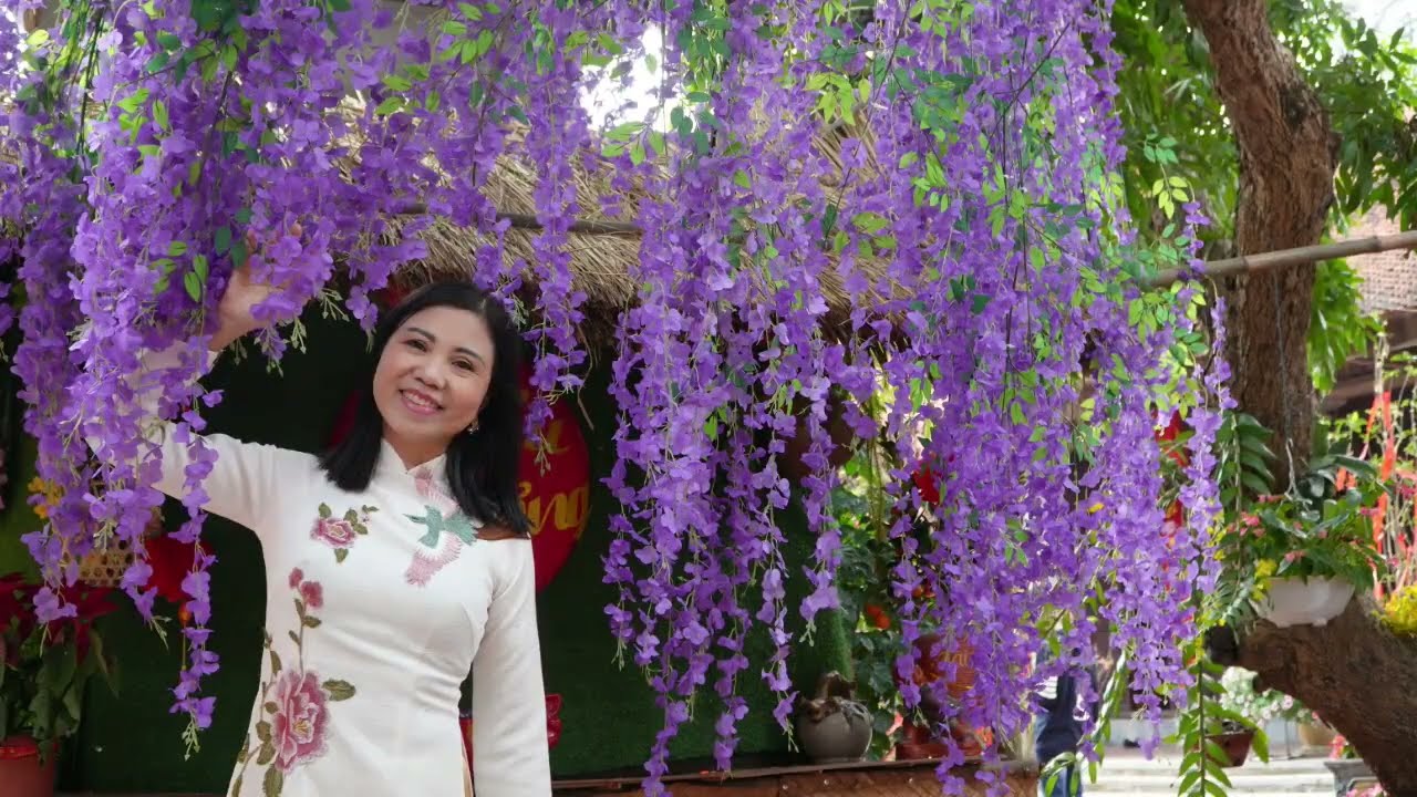 Hà Nội 12 mùa hoa /  Nguyệt Hạ