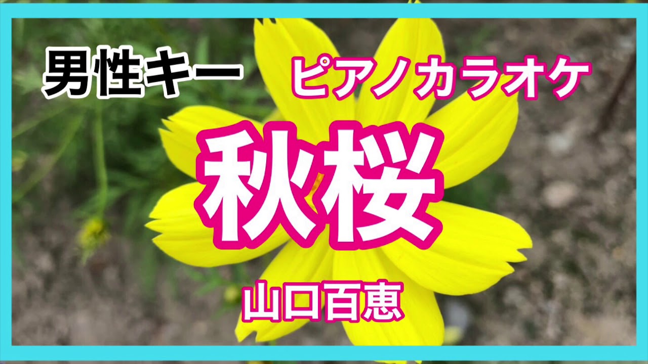 【男性キー】秋桜 山口百恵 ピアノ伴奏 秋の歌