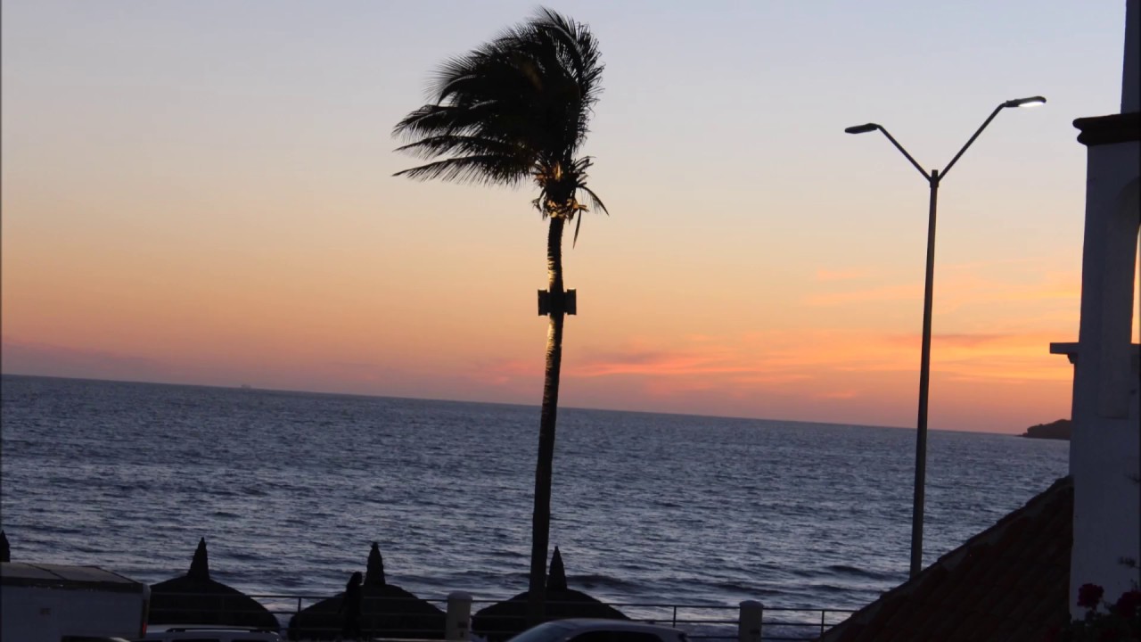 Rosa Maria se fue ala Playa/Los Moonlights