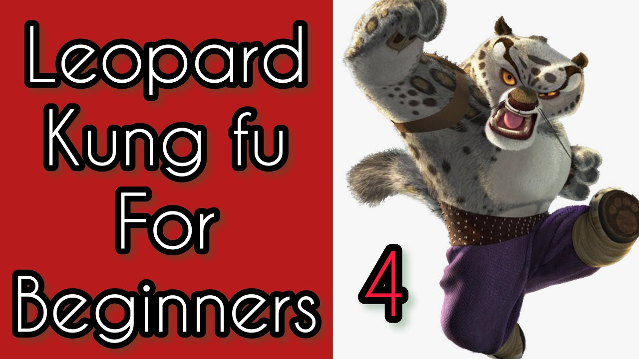 real timing kung fu class / leopard kung fu lesson 4 / coolest leopard kicks