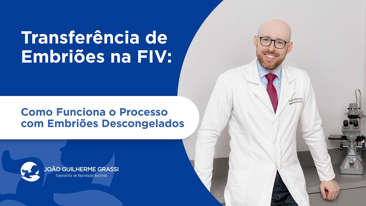 Transferência de embriões na FIV: Como funciona o processo com embriões descongelados