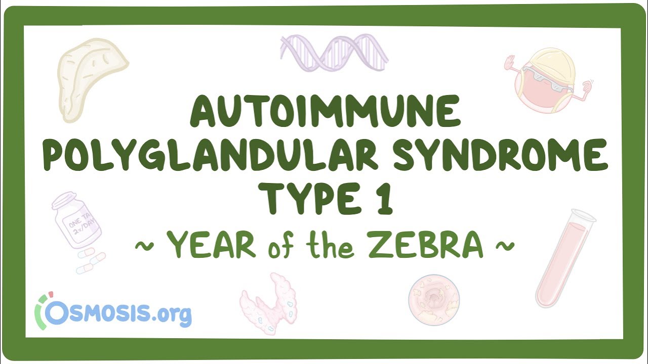 Autoimmune polyglandular syndrome type I - NORD (Year of the Zebra)
