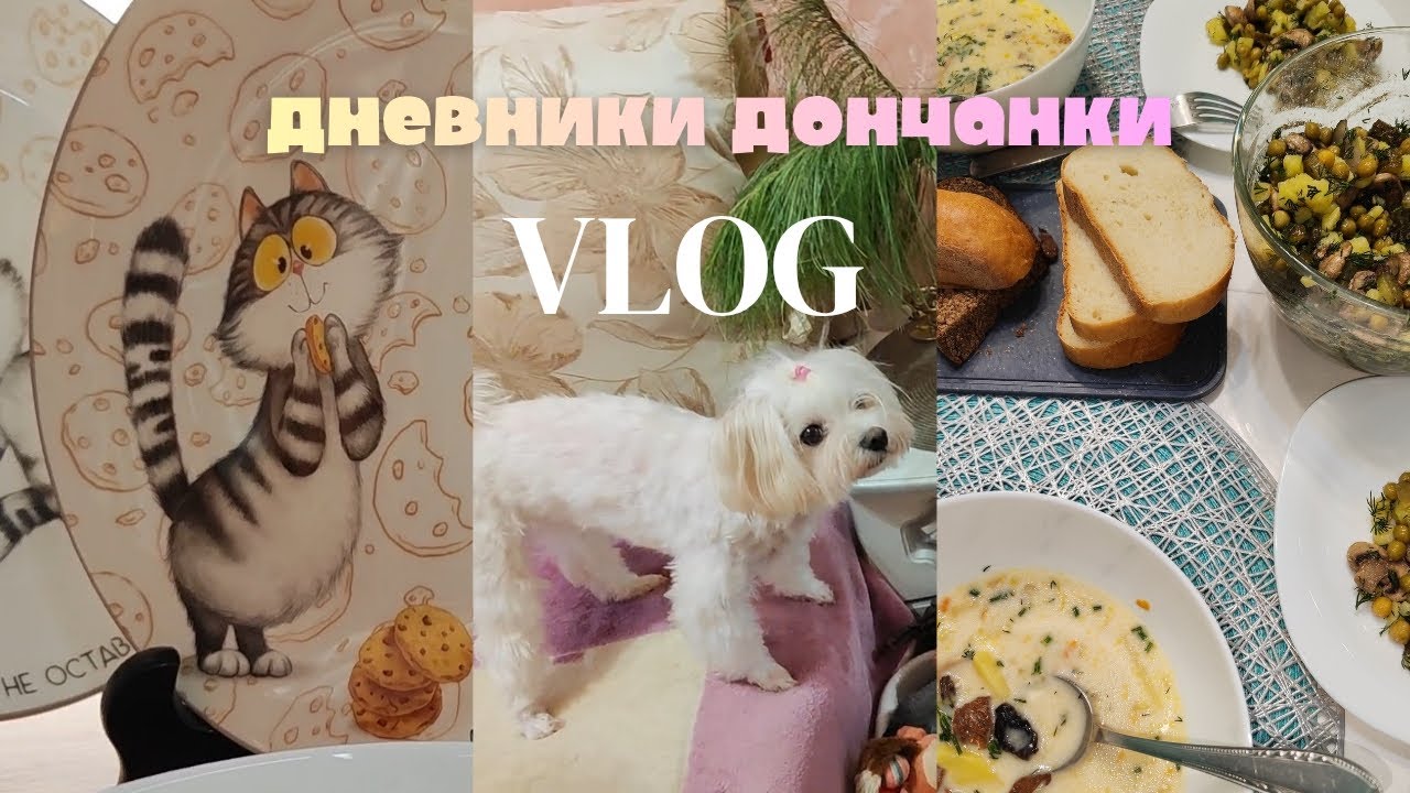У неё игрушек больше, чем у детей 🐶 Готовлю новый салатик 🥗🍽 #влог #рецепты #донецк #влоги 