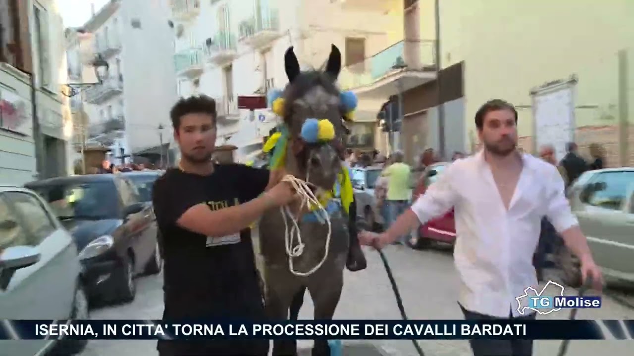 Isernia, in città torna la processione dei cavalli bardati