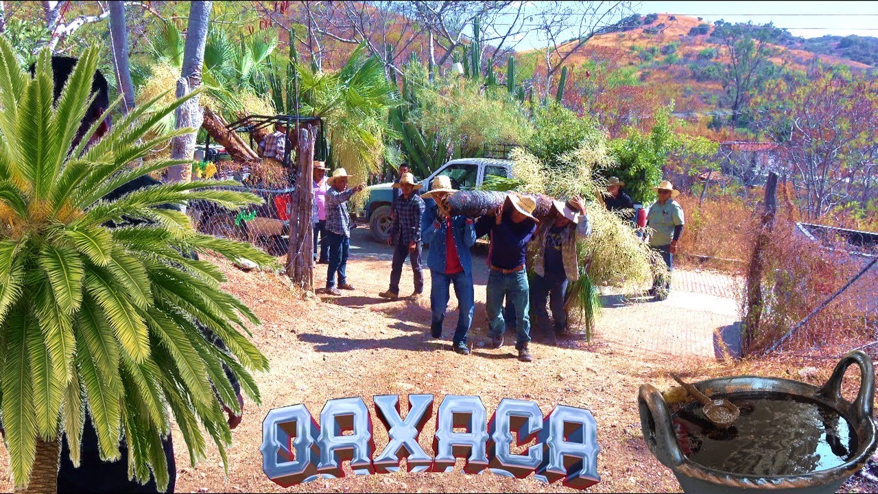 Pueblo Oaxaqueño y su gente TRABAJADORA