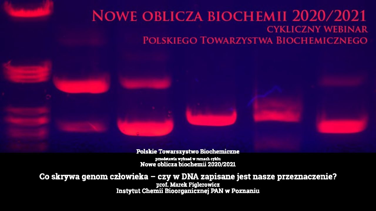 Co skrywa genom człowieka &ndash; czy w DNA zapisane jest nasze przeznaczenie? prof. Marek Figlerowicz