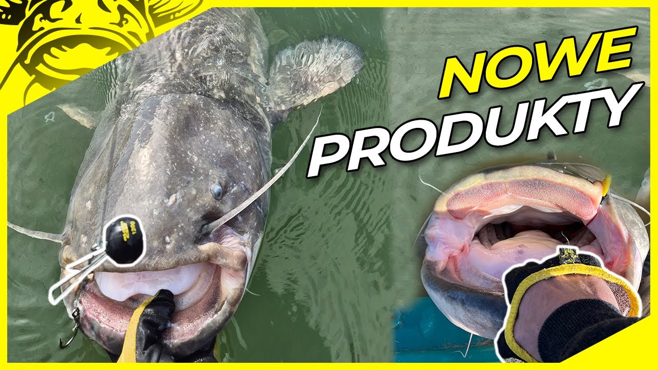 REWOLUCJA w POŁOWIE SUMÓW 😳 | Nowe produkty Black Cat i systemy przynęt | Wędkarstwo sumowe