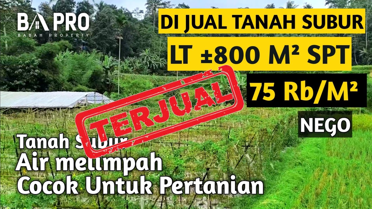 TANAH SUBUR & PRODUKTIF AIR MELIMPAH COCOK UNTUK PERTANIAN LT 800 M² 