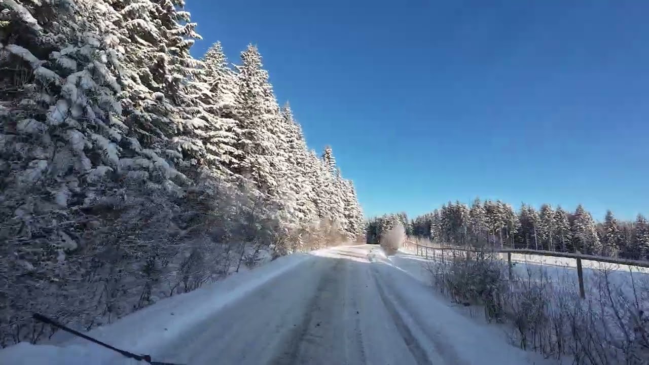 Planeta płonie. Przedsionek Bieszczadów. Zjazd w Żarnowej. VIA carpatia, s19
