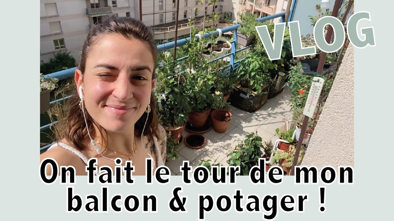 Update des plantes du balcon : premiers fruits au potager !