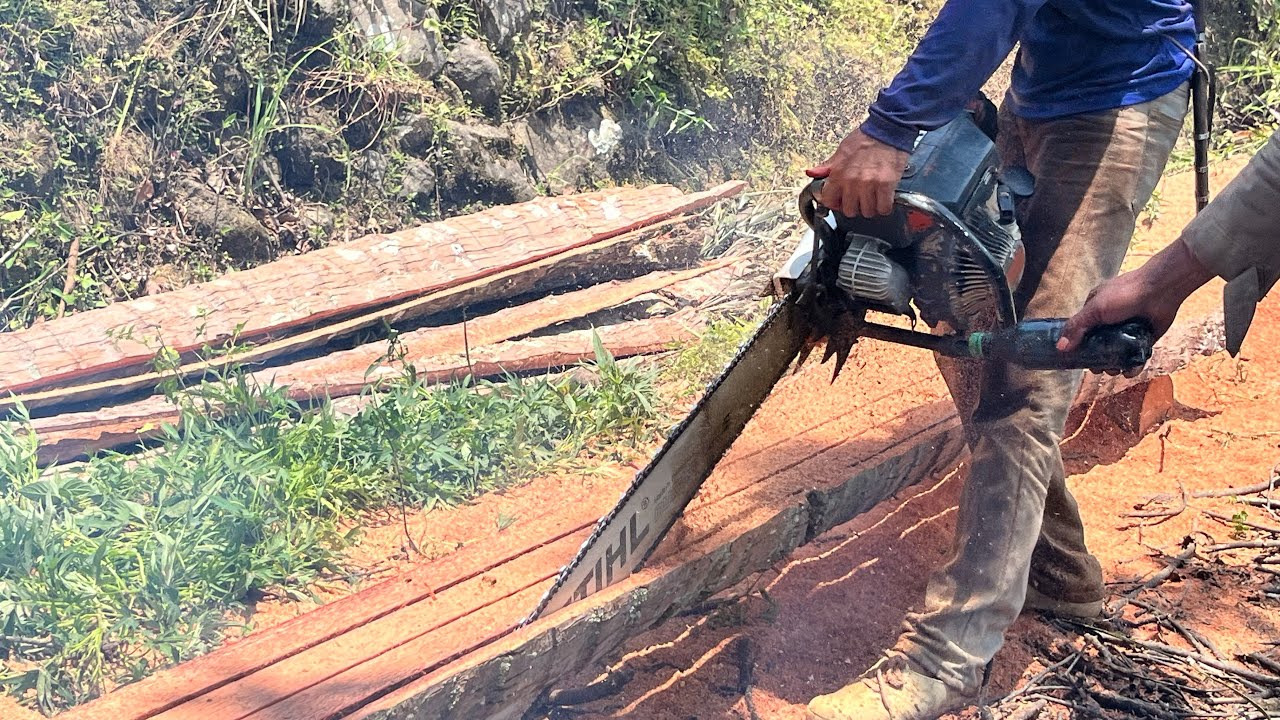 FROM FALLEN TREE TO BEAUTIFUL WOOD – ENJOYING COFFEE DURING THE PROCESS