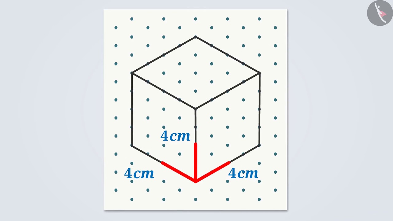 Drawing sketches of solids on a flat surface   | Part 1/3 | English | Class 7