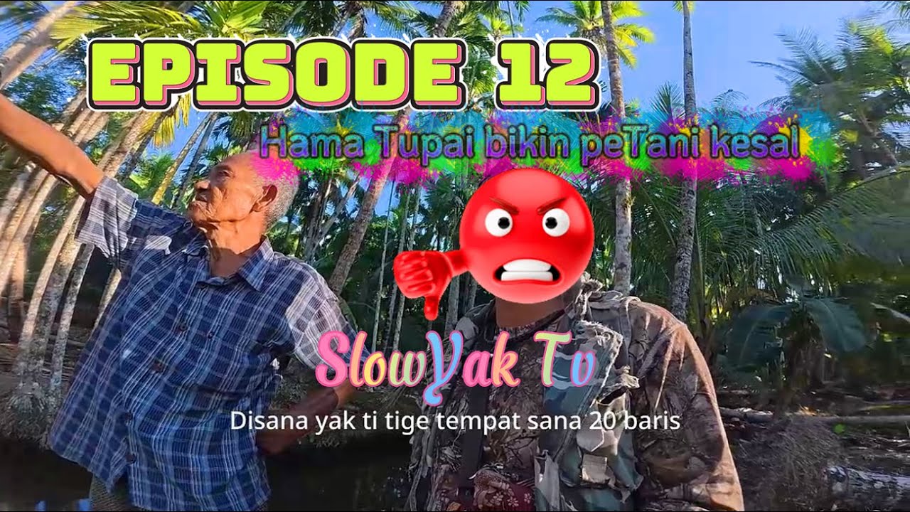 Pemburu Tupai Kelapa Jadi rebuTan PeTani Vs Tupai !!