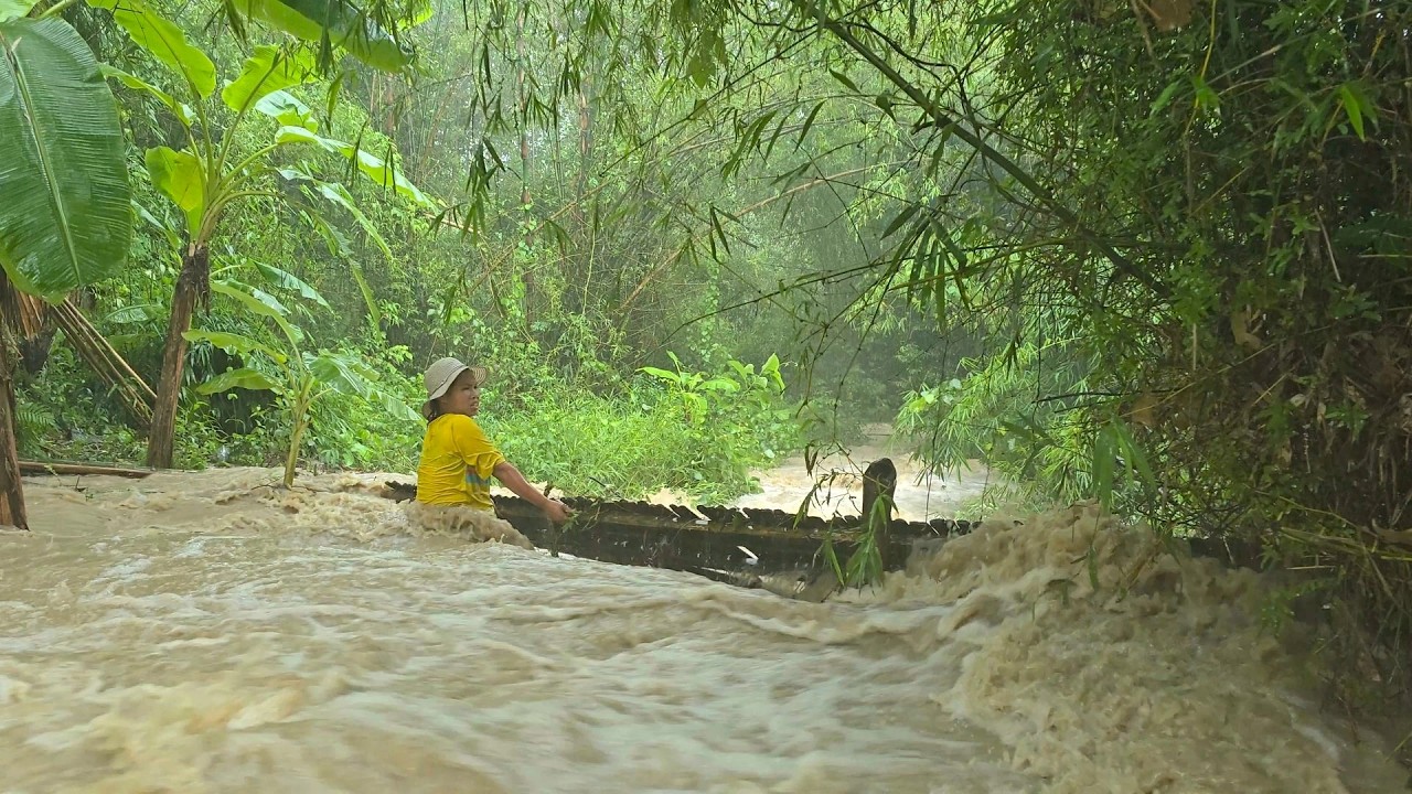 The torrential rains devastated everything in their path - the danger of the large stream