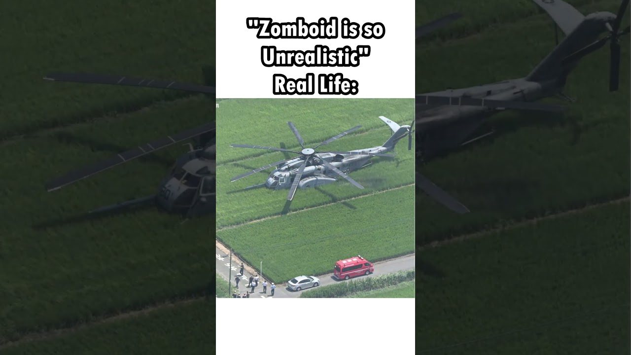 Realism                        #projectzomboid #memes #funny #gaming