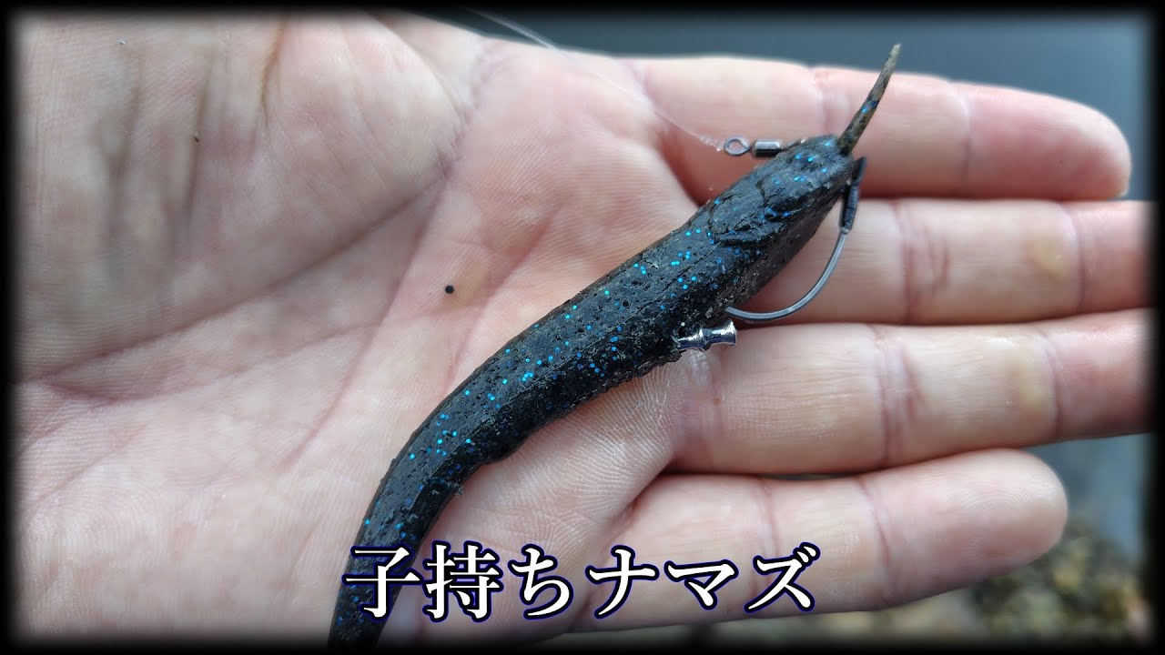 【ニシネナマズ】低水温期のソフトカバー対応【NLW】