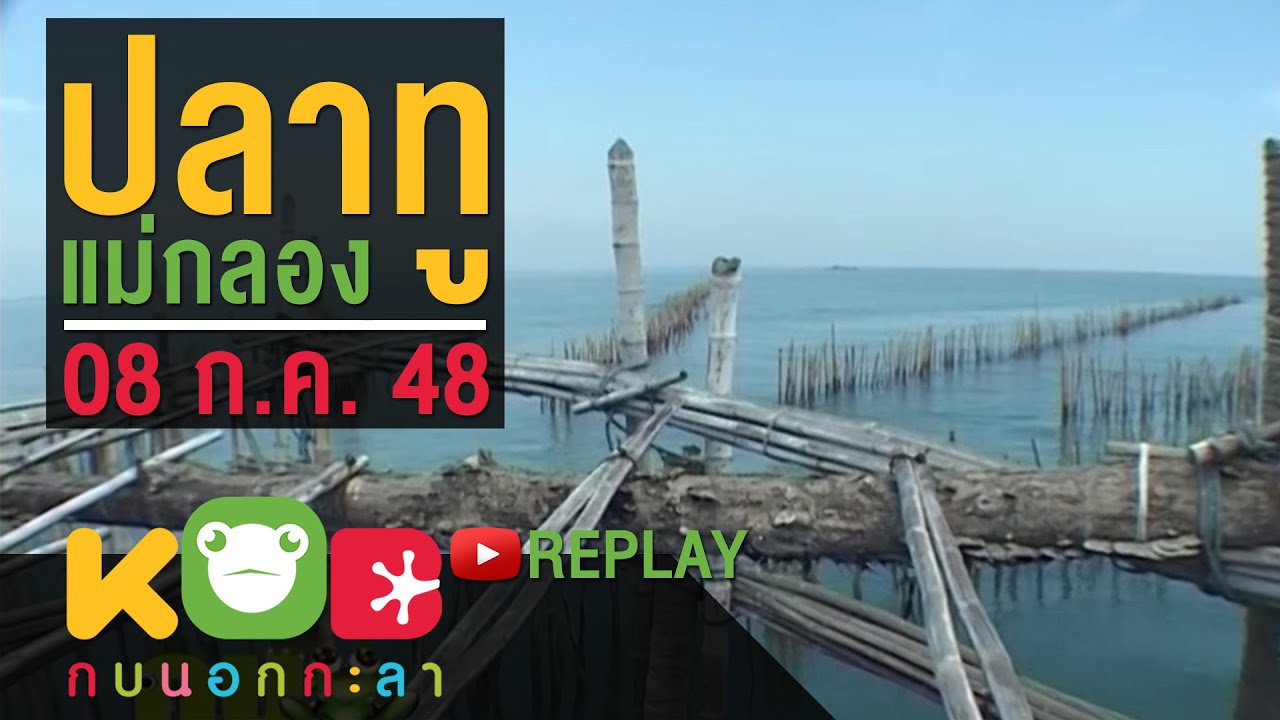 กบนอกกะลา REPLAY : ปลาทูแม่กลอง ช่วงที่ 2/4 (8 ก.ค. 48)