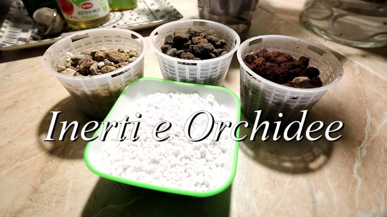 Inerti e Orchidee