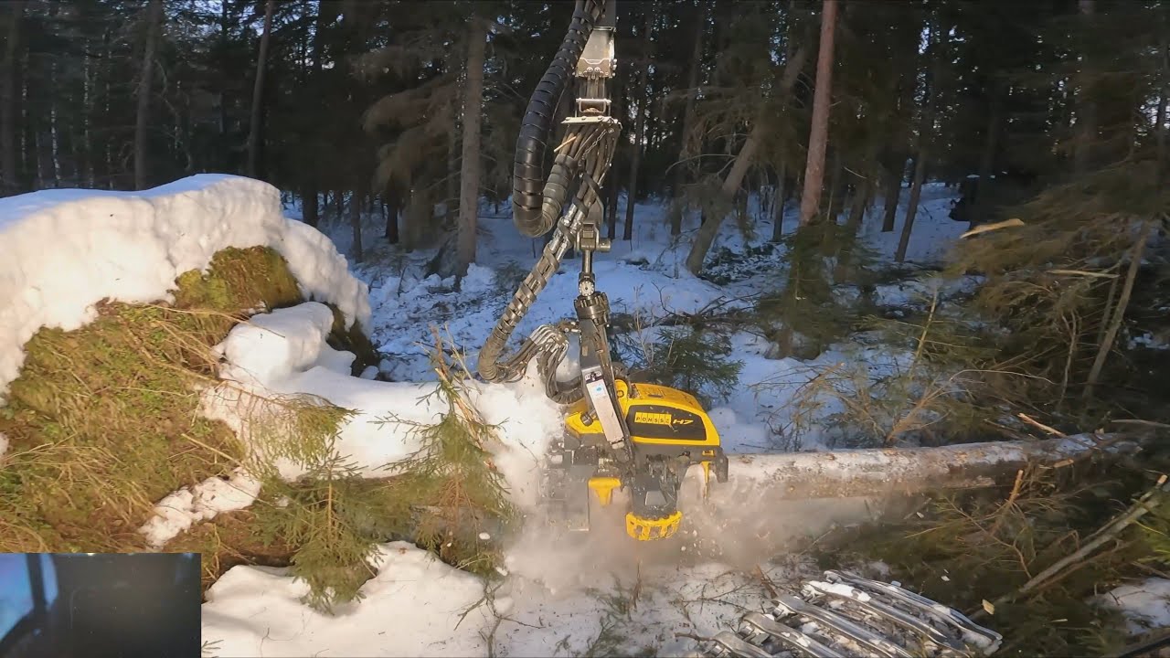 Vähän varastopaikan laajennusta ja tuulenkaatojen keräilyä. Ponsse Scorpion K H7 AC FC
