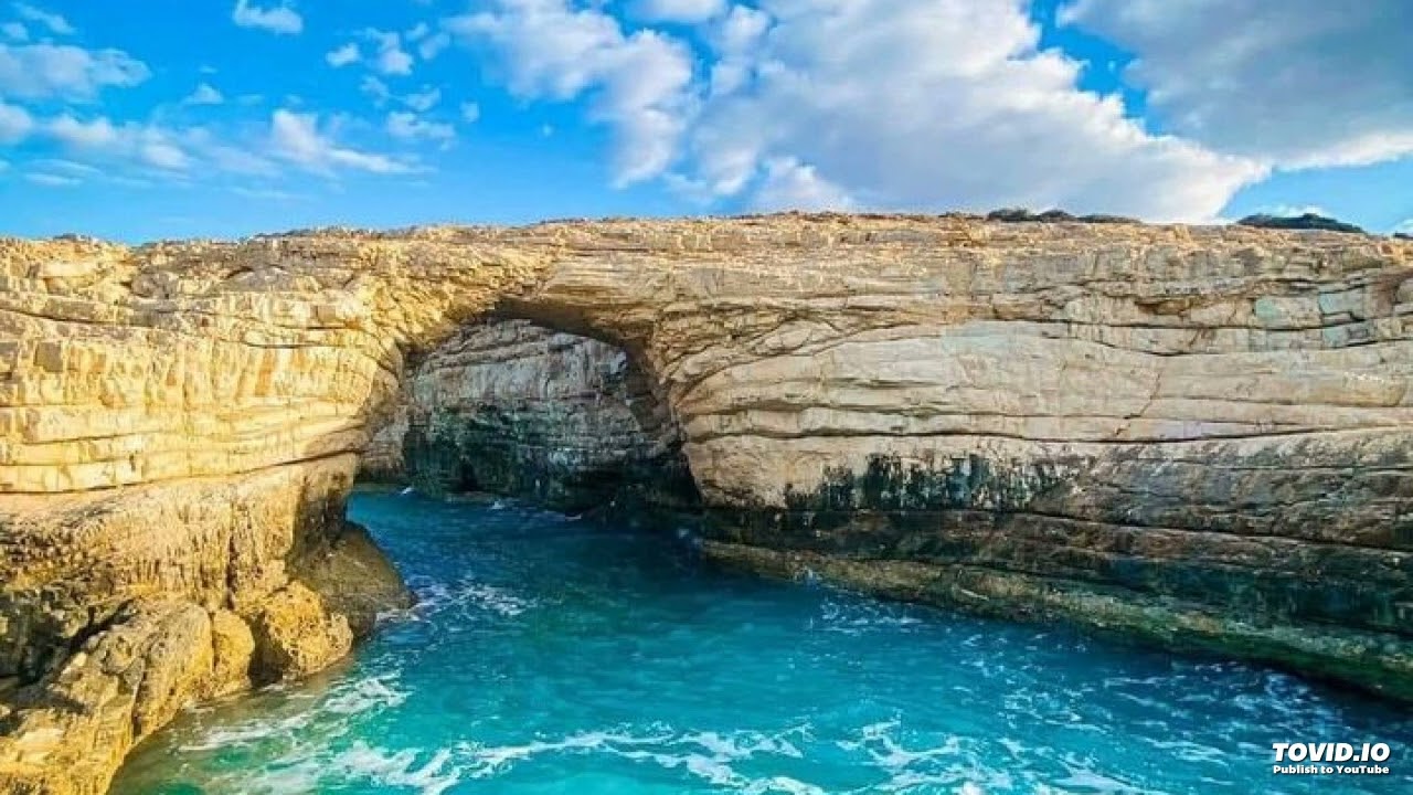 زكره جمال الارقط