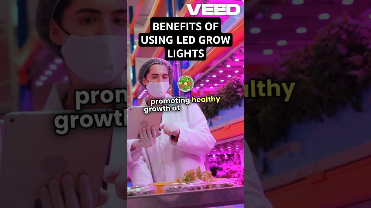 Benefits of using LED grow lights #420 #ledgrowlights #ledgrowlight