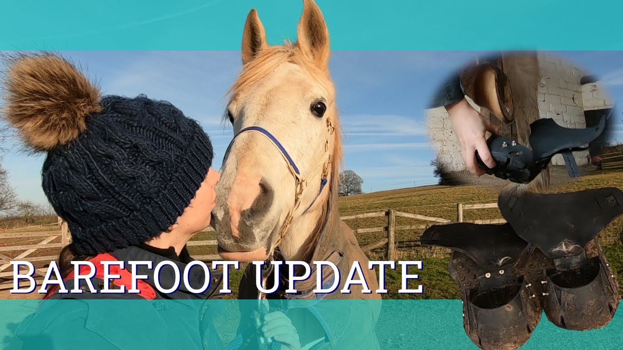 Обновление Barefoot — обзор ботинок Flex — Vlog 115 — Beth Endurance