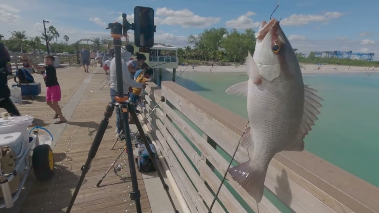 Expertos revelan secretos ocultos de la pesca en el muelle de Dania Beach Pier