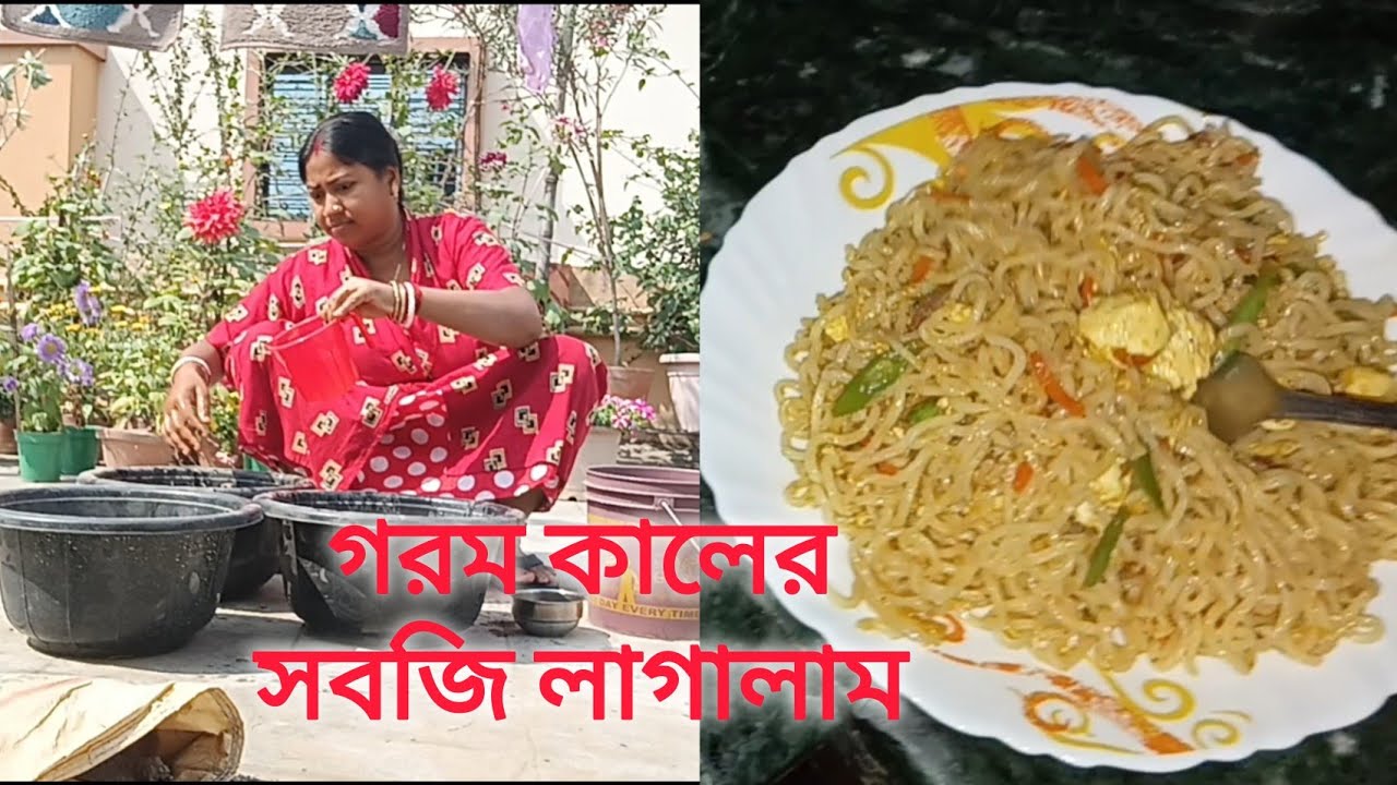 এবার গরম কালের সবজি চাষ করবো ॥সন্ধ্যার জলখাবারে fried Maggie 😋 #banglavlog 