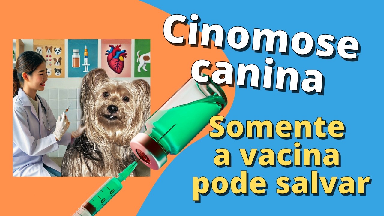 CINOMOSE CANINA   ENTENDA antes que SEJA TARDE