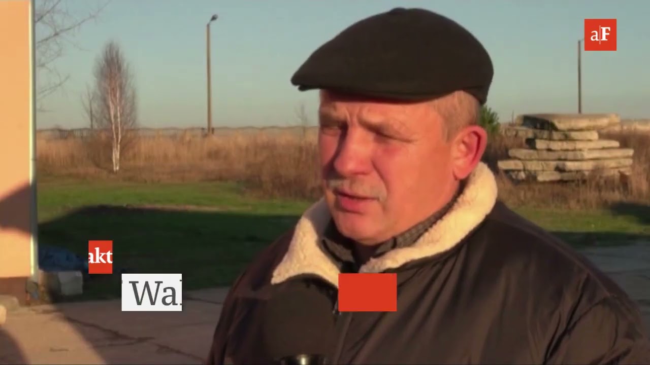 Zakończyły się zbiory zboża i kukurydzy. Jak się kształtują ceny?