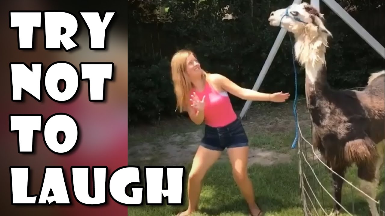 Try Not To Laugh - Funniest Fails Compilation March 2020 | FunToo