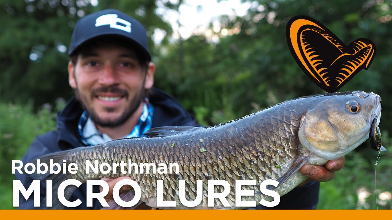 Ultra Light Chub Fishing on Lures - Robbie Northman
