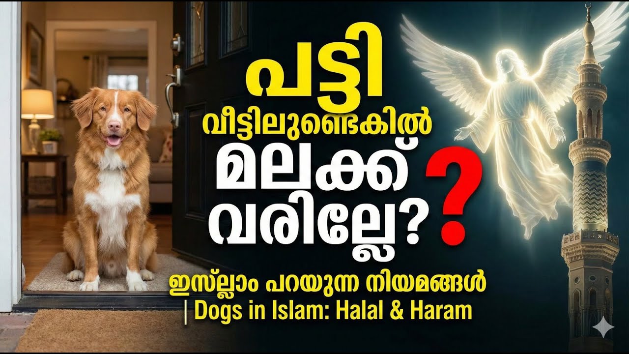 പട്ടി വീട്ടിലുണ്ടെങ്കിൽ മലക്ക് വരില്ലേ? ഇസ്ലാം പറയുന്ന നിയമങ്ങൾ | Dogs in Islam: Halal & Haram