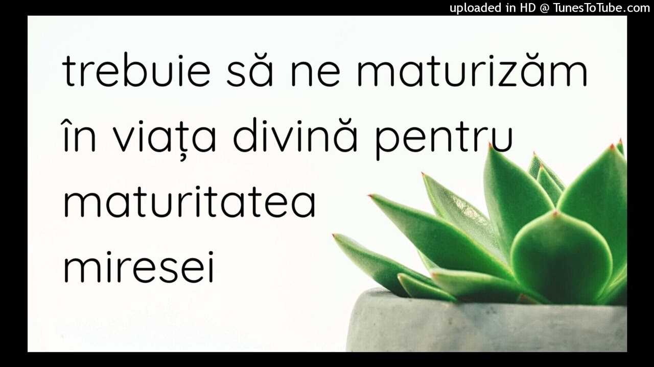 trebuie să ne maturizăm în viața divină pentru maturitatea miresei