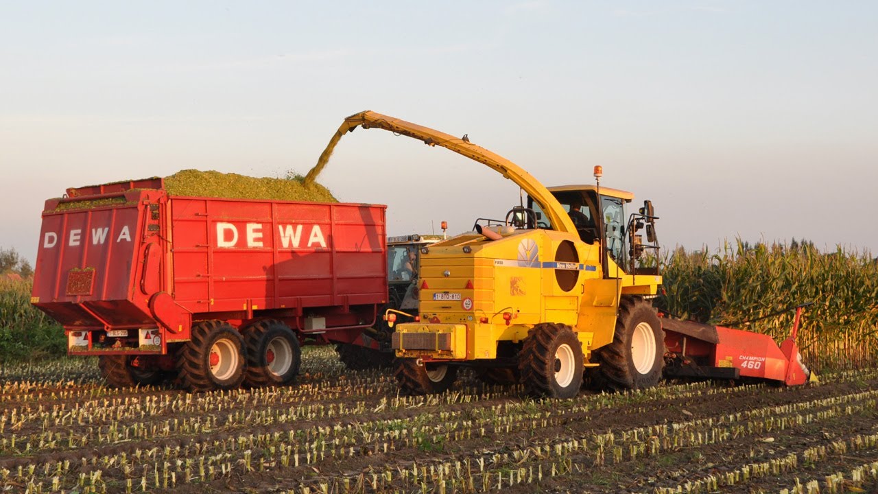 Loonwerk Willem Claeys - New Holland FX50 - mais hakselen