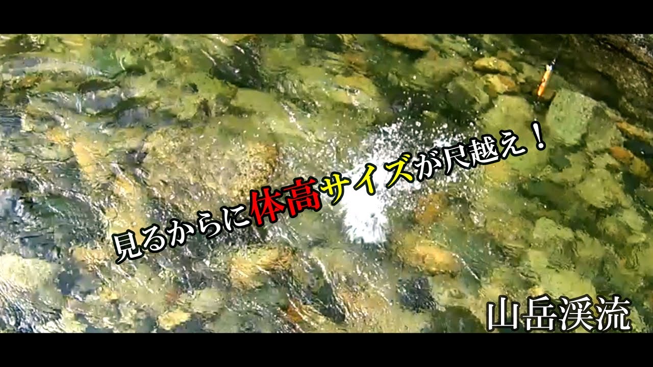真夏のハイ・シーズンは激アツ！【銀山平釣行vol.25】【山岳渓流】