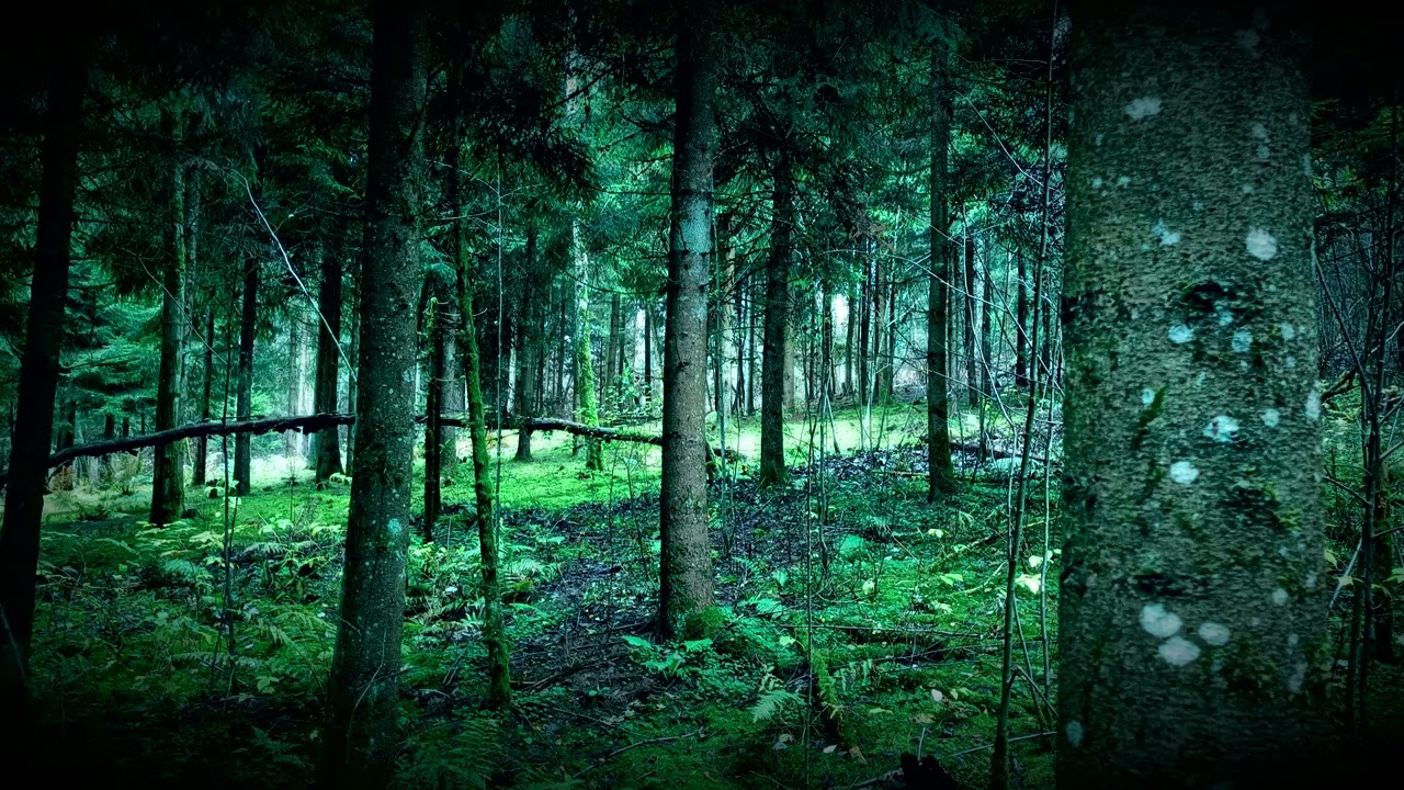 2 Hours of Introspective/Ambient Chillstep/Downtempo Music
