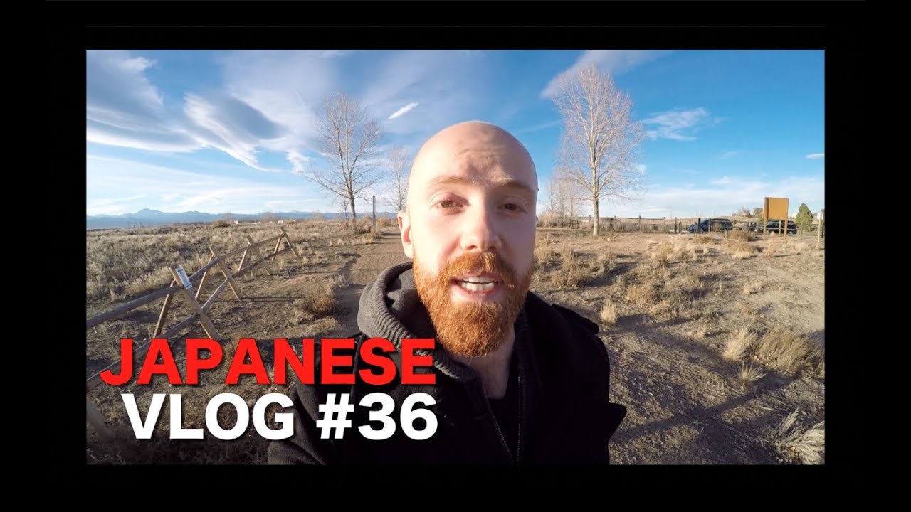 Japanese in a Year: The Final Month | Vlog #36