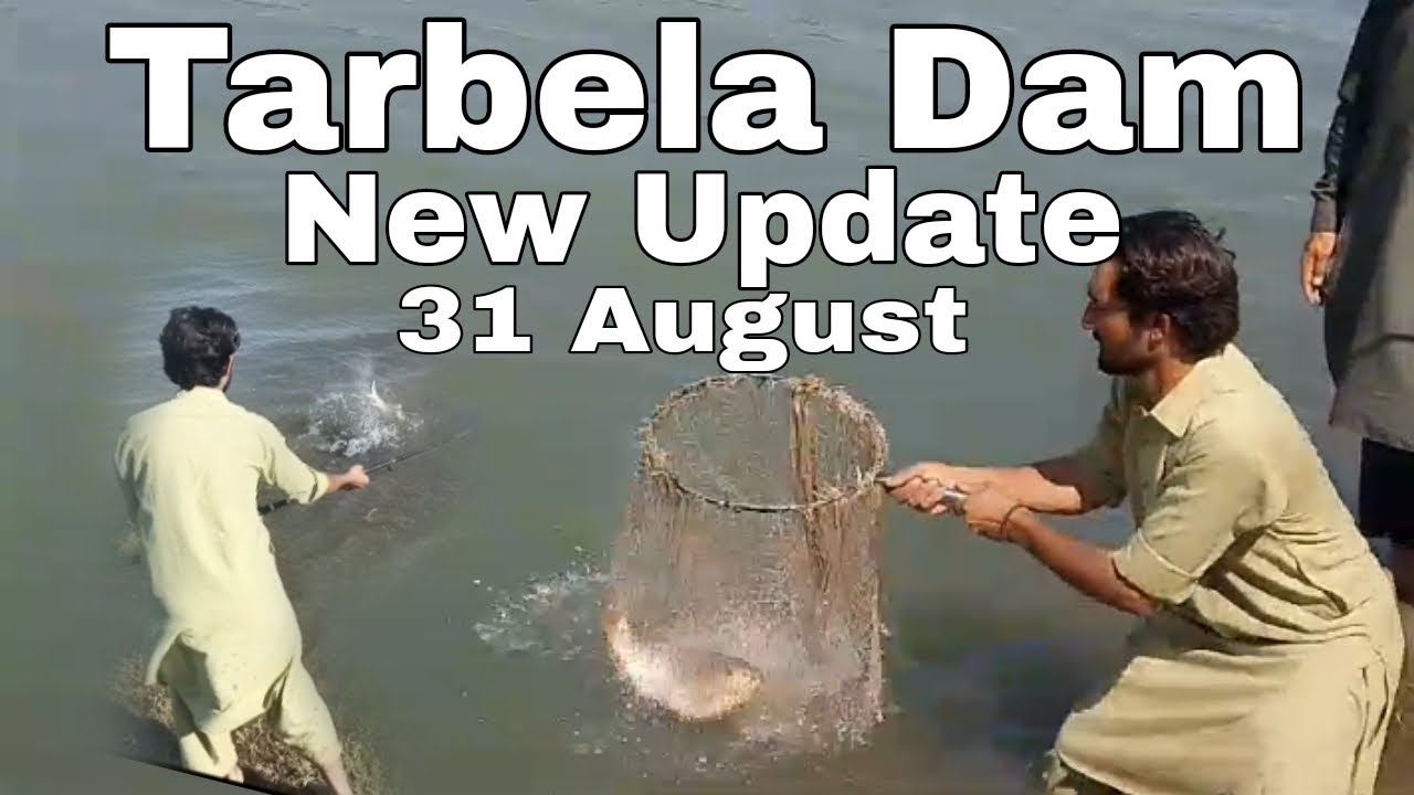 Tarbela Dam New Fishing Update 2024 Live chal Jagle point Afgan Basti