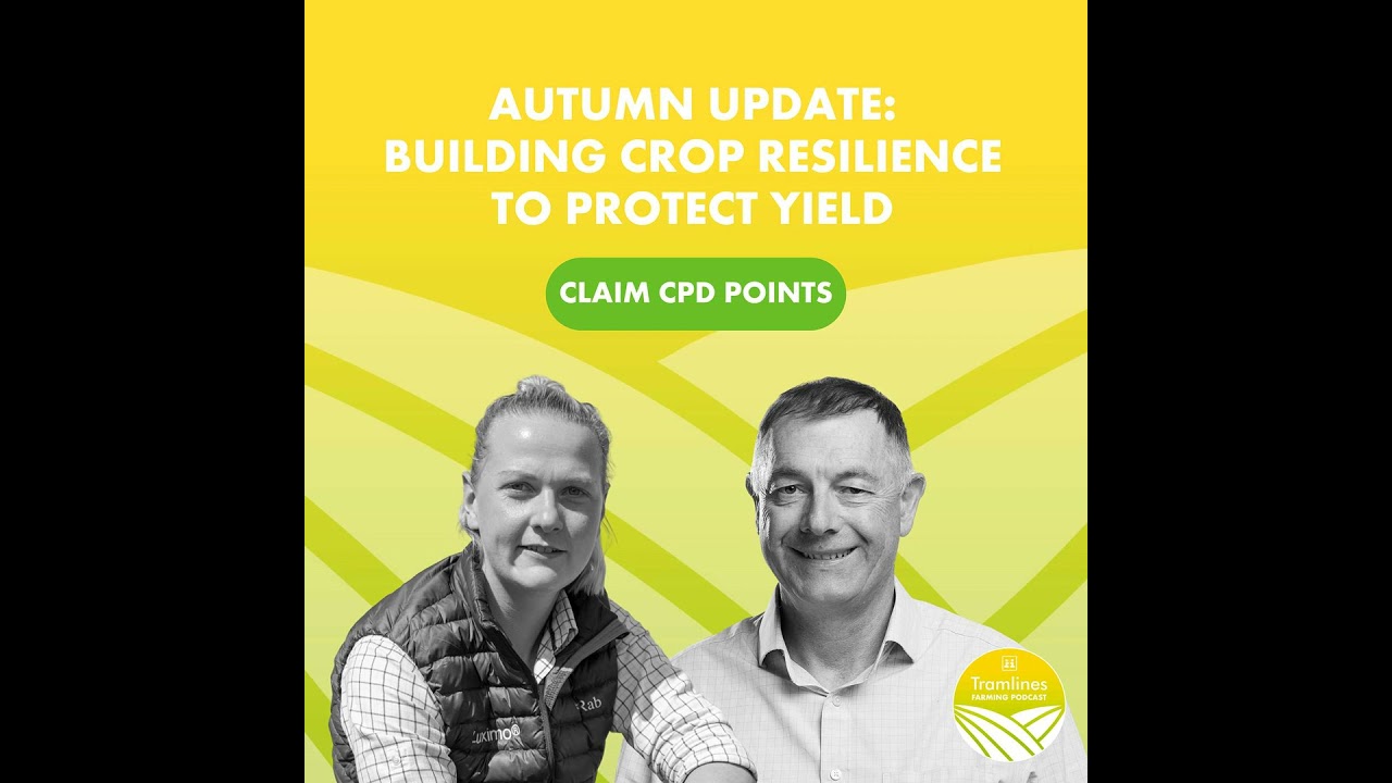 Autumn Update: Building Crop Resilience to Protect Yield