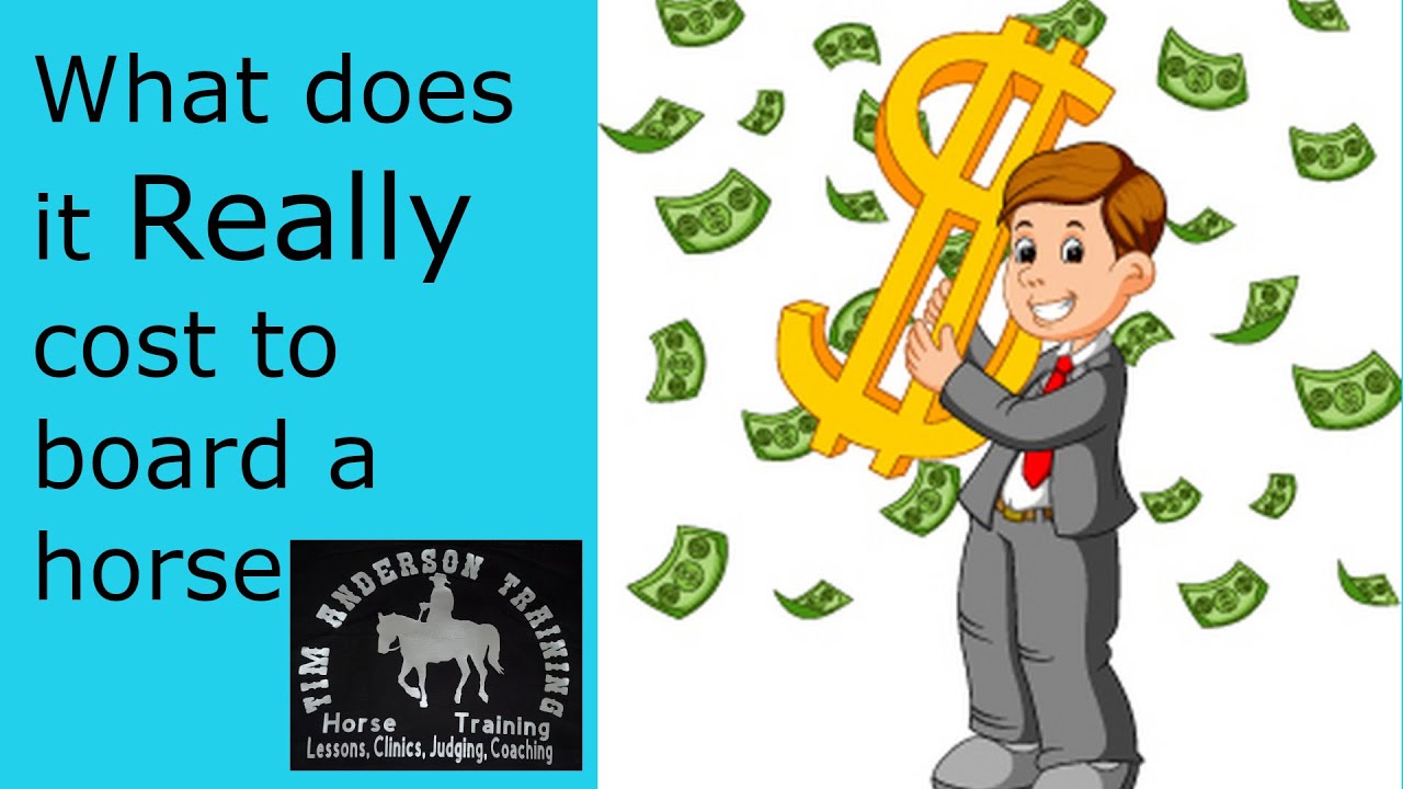 Boarding Facilities are making a FORTUNE. Cost to Board A Horse.