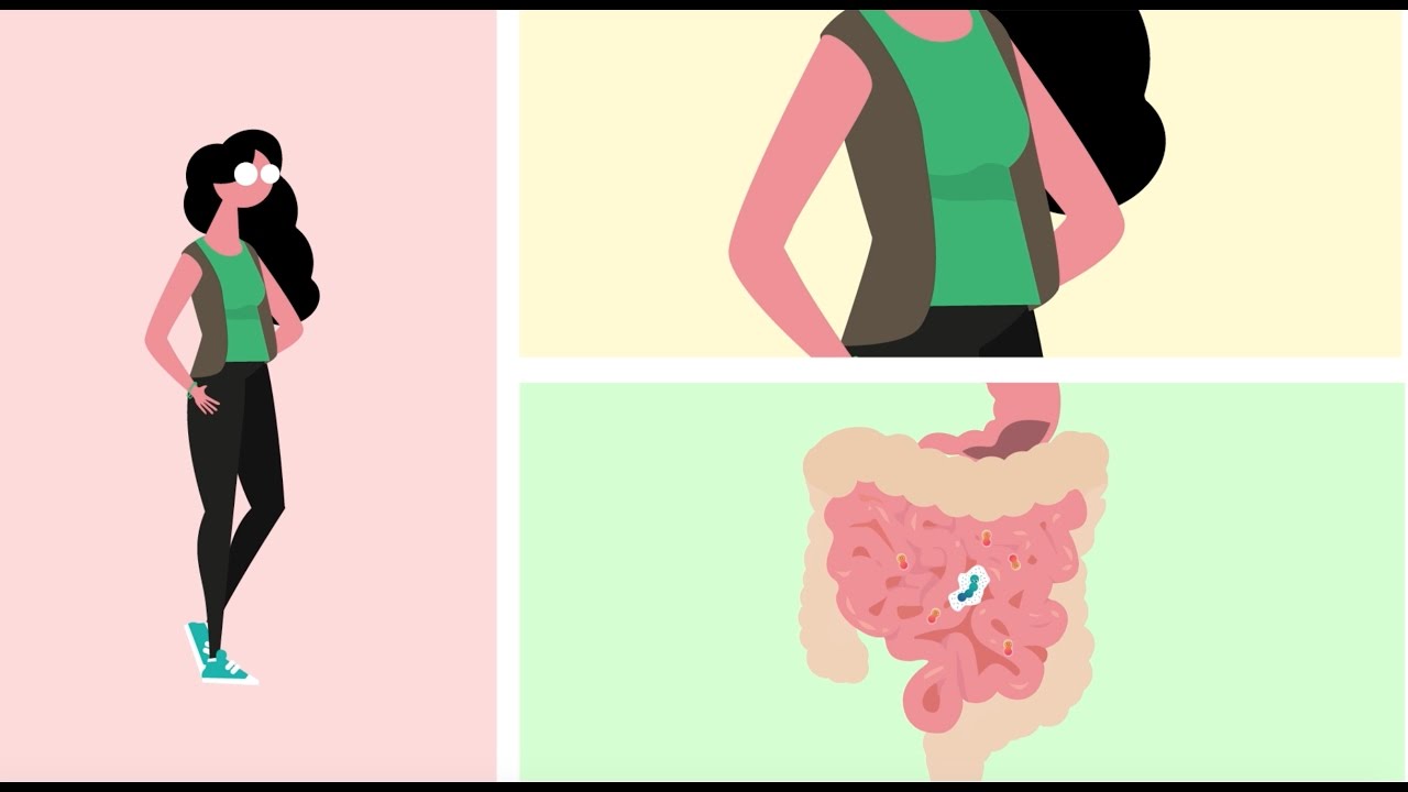 Les probiotiques:  Comment &ccedil;a marche avec le lactobacillus gasseri ?