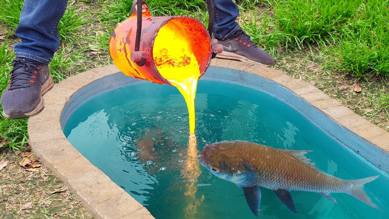 Experiment Lava vs Fish Herring in Pool
