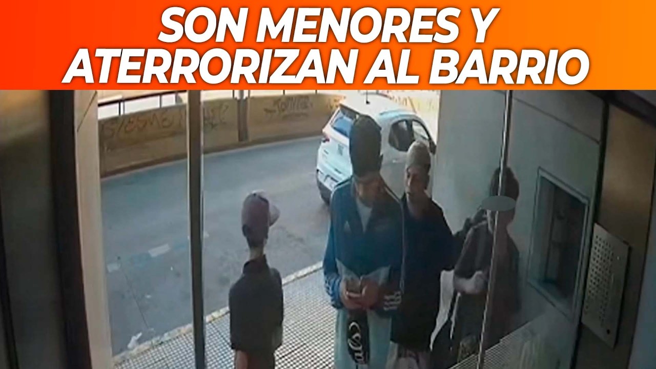 Son menores: roban a los vecinos de Belgrano y entran y salen de las comisarías