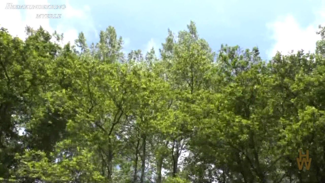 Heemkunde Myerle.Opstap in Zutphen 2014.