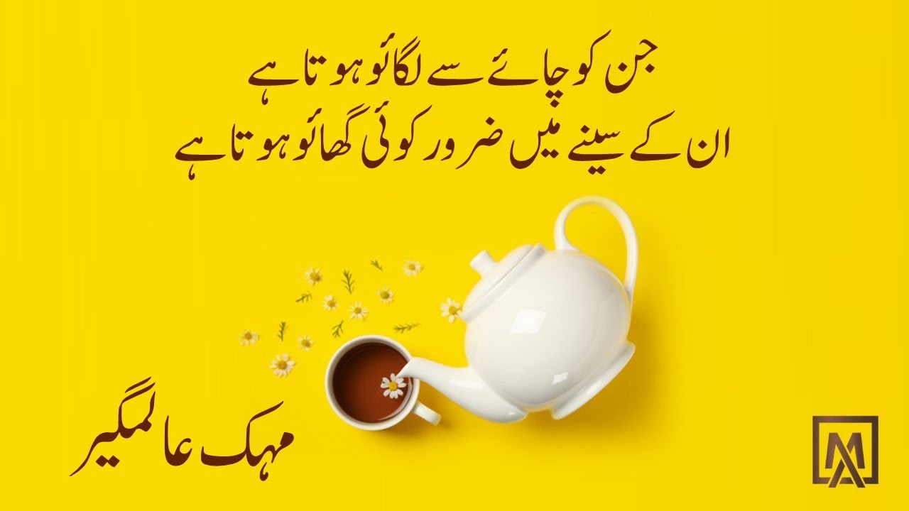 Chai | New Chai shayari ☕❣️| chai shayari status | tea lovers | chai poetry