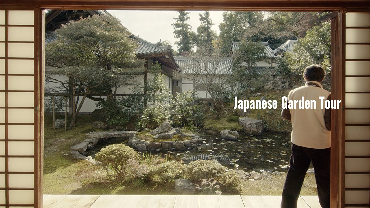 (VLOG) 紅葉が美しい参道とお庭。京都の西山に位置するお寺、浄住寺さんを訪問した。